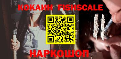 индика Новозыбков