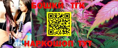 индика Новозыбков