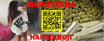 индика Новозыбков