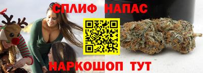 индика Новозыбков