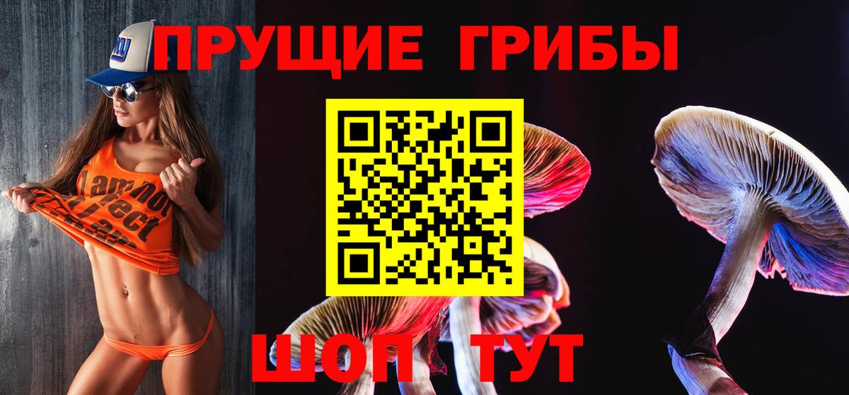 Туапсе  Псилоцибиновые грибы Psilocybine cubensis  Вход с VPN  Галлюциногенные грибы мицелий 