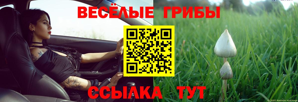 Галлюциногенные грибы Magic Shrooms Туапсе